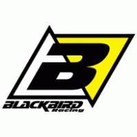 Kit déco Traction Blackbird